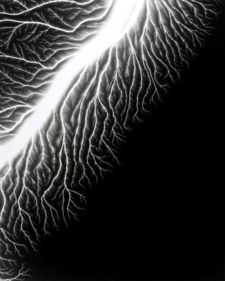 Illustration for article titled Capturing the Veined Beauty of Lightning